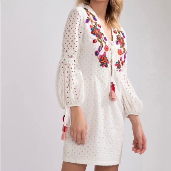 NWT PatBo Eyelet Dress w Embroidery & bead detail - Picture 3 of 7